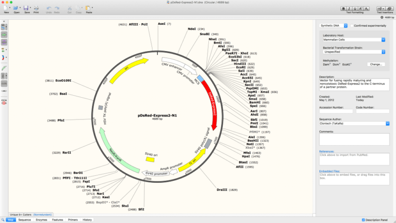 snapgene e coli